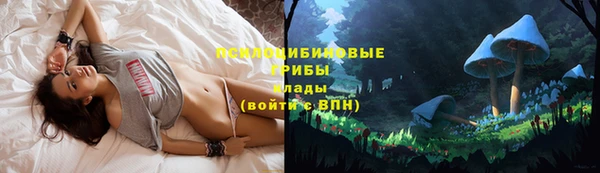 спайс Арсеньев
