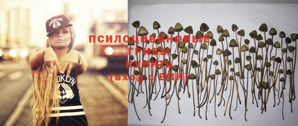 спайс Арсеньев