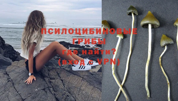 спайс Арсеньев