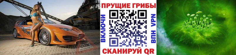 Галлюциногенные грибы Psilocybe  omg как войти  Нерехта 