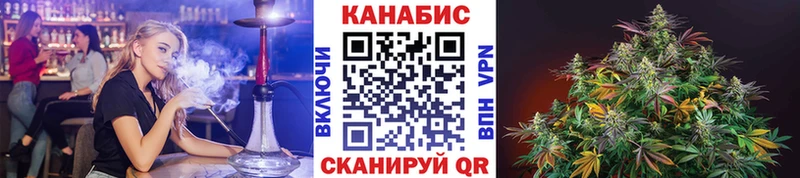 Канабис планчик  Нерехта 